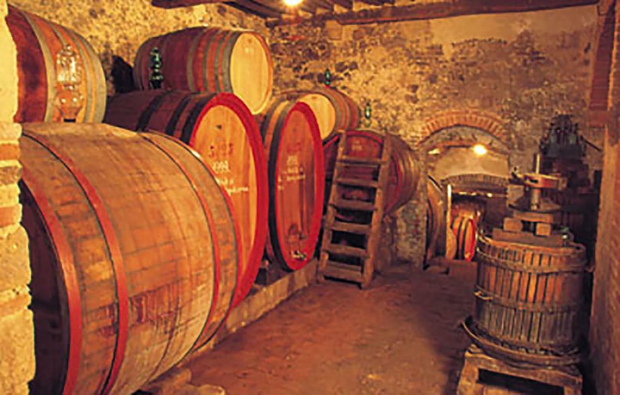 B&B Il Glicine Montefollonico Exterior photo